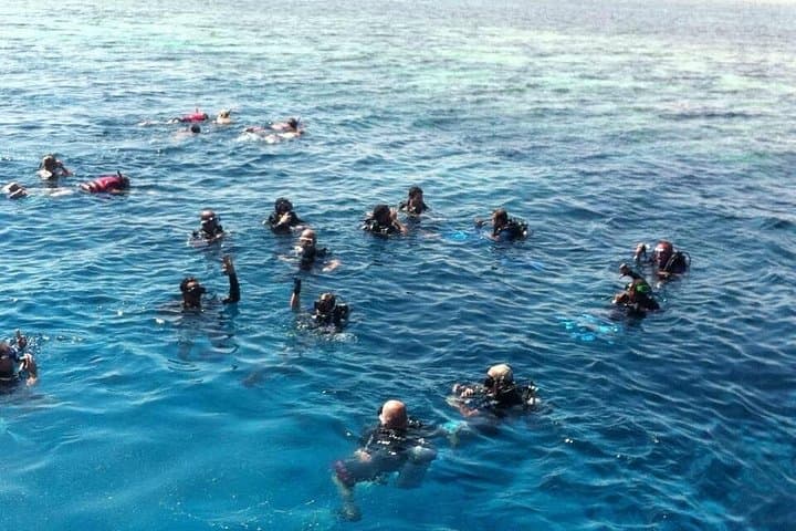 Hurghada Red Sea Snorkeling Day Trip From Luxor: Coral Reefs & Desert Transfer photo 4