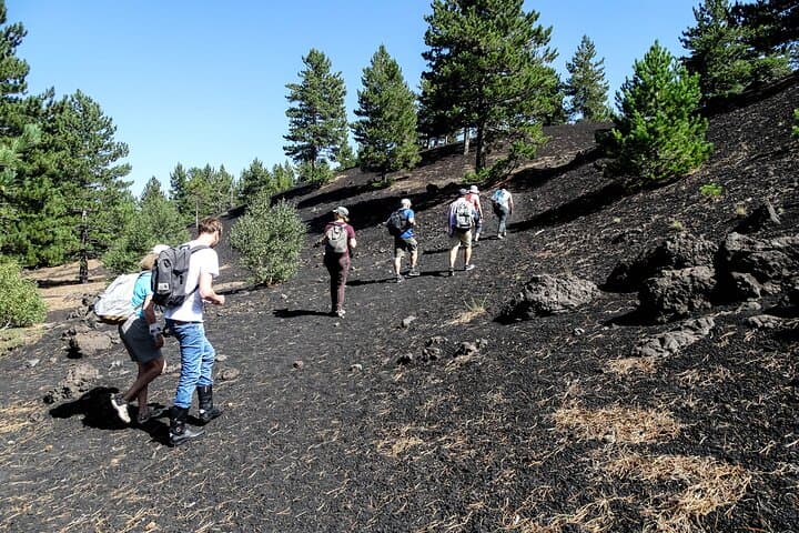 Etna Morning Hike: Caves, Lava Flows & Craters Tour from Catania photo 2