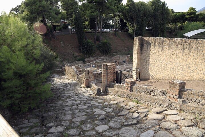 Pompeii Day Tour: Guided Visit to the Archaeological Site from Naples photo 3