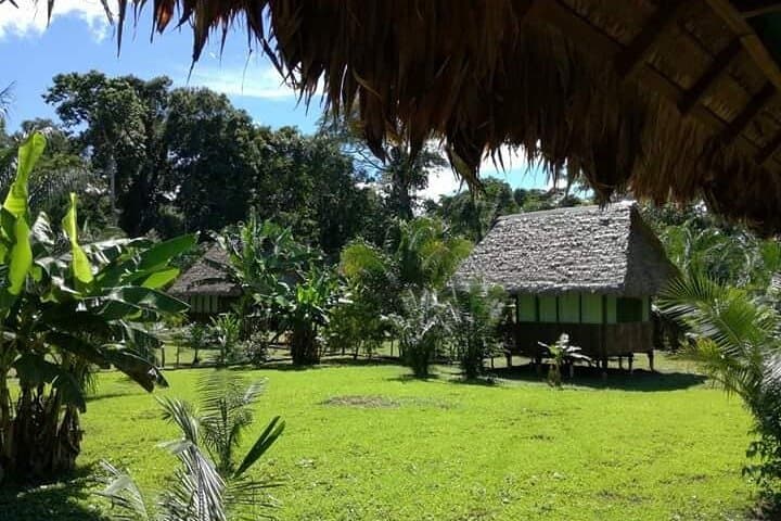 4-Day Tambopata Amazon Jungle Tour From Cusco — Sandoval Lake, Clay Licks & Ese Eja Visit photo 4