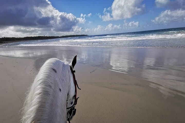 Horseback Ride to El Limón Beach — Punta Cana Guided Beach Tour