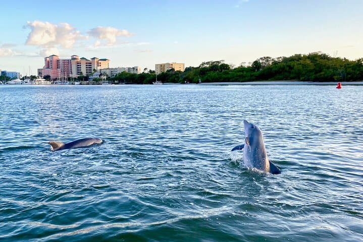 Tiny Tiki Half-Day Cruise to Lovers Key from Fort Myers Beach photo 6