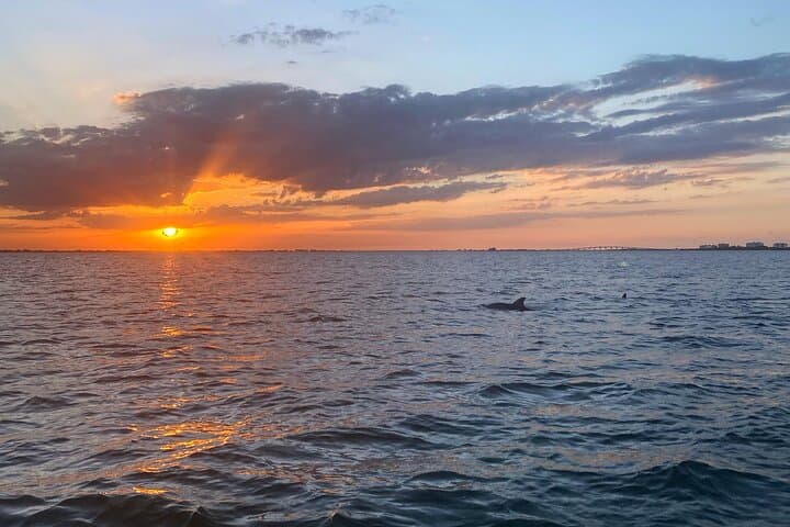 Sunset Dolphin Cruise Fort Myers Beach — Private Tiki Pontoon Experience