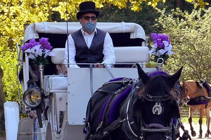 Central Park Horse and Carriage Ride — 45-Min Long Ride with Troy Carriages photo 3