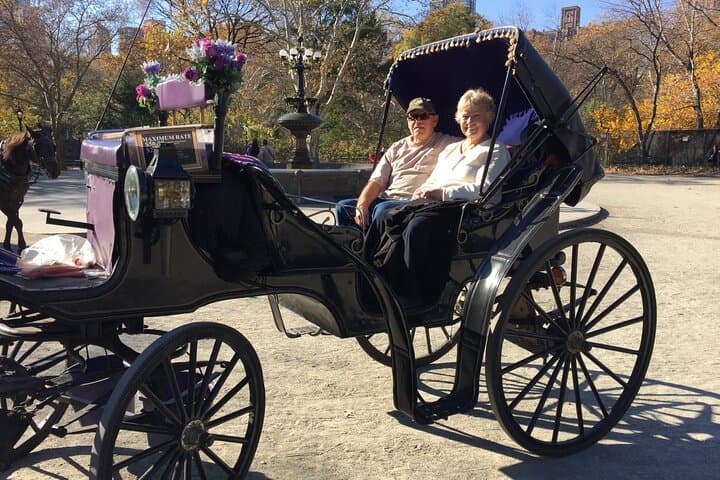 Central Park Horse and Carriage Ride — 45-Min Long Ride with Troy Carriages photo 2