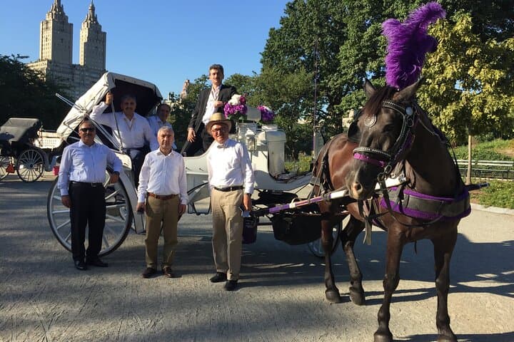 Central Park Horse and Carriage Ride — 45-Min Long Ride with Troy Carriages photo 4