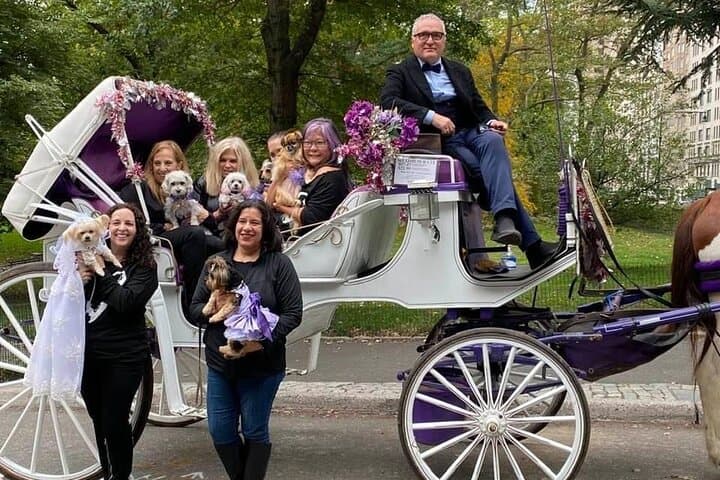 Central Park Horse and Carriage Ride — 45-Min Long Ride with Troy Carriages