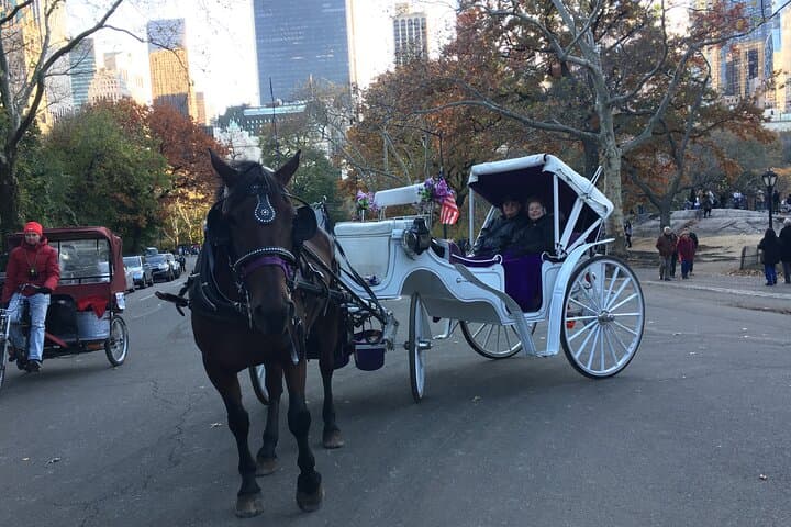Central Park Horse and Carriage Ride — 45-Min Long Ride with Troy Carriages photo 5