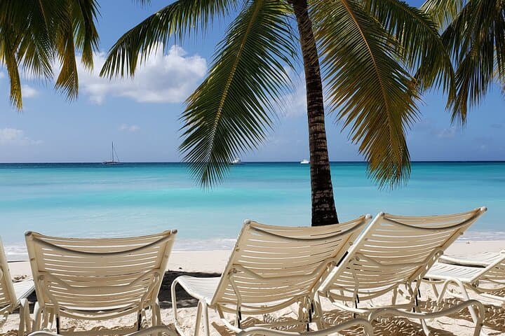 Saona Island Full-Day Small-Group Tour from Bayahibe — Beaches, Snorkel & Turtle Conservation
