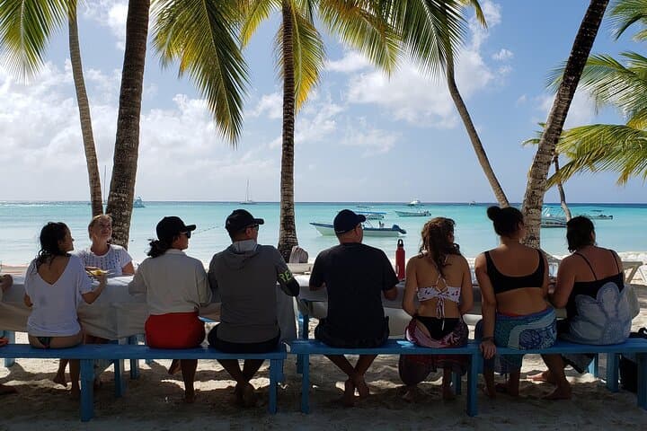 Saona Island Full-Day Small-Group Tour from Bayahibe — Beaches, Snorkel & Turtle Conservation photo 2
