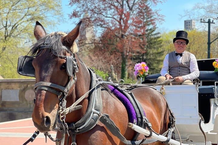 Central Park Horse and Carriage Ride — 45-Minute Grand Tour from 59th Street photo 1