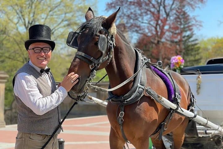 Central Park Horse and Carriage Ride: 45-Minute Historic South End Tour photo 3