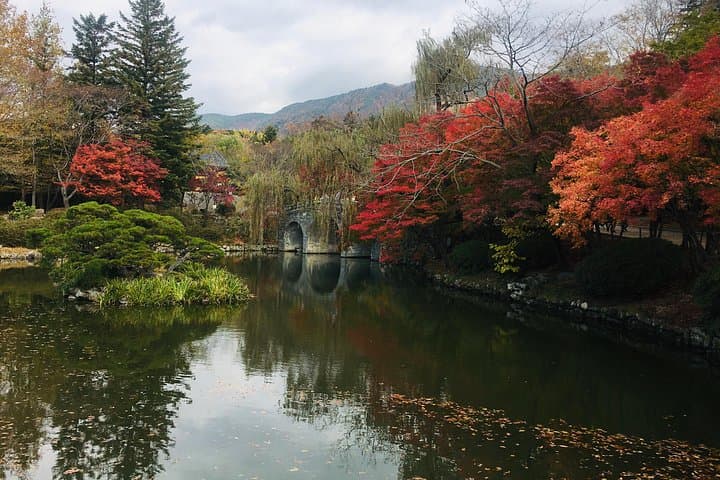 Gyeongju Temple Stay & Seonmudo: 2-Day Private Cultural Tour photo 4