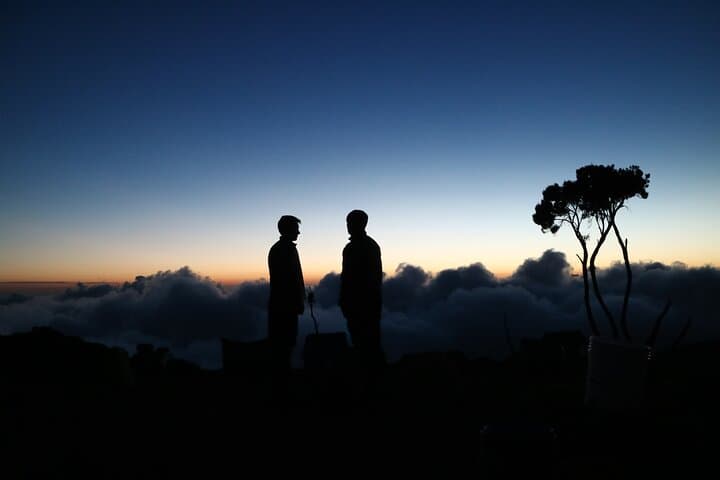 Day Hike: Marangu Route to Mandara Hut on Mount Kilimanjaro photo 2