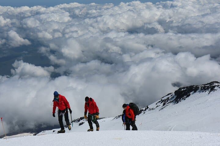 Day Hike: Marangu Route to Mandara Hut on Mount Kilimanjaro photo 3