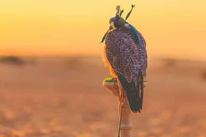 Sunrise Hot Air Balloon Ride Over Dubai Desert: Sunrise Balloon Experience photo 4