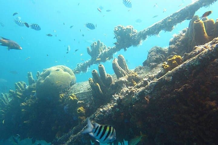 Seabob the Antilla Shipwreck: High-Speed Snorkel Tour in Aruba photo 4
