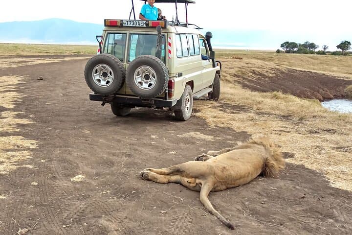 Three-Day Serengeti and Ngorongoro Crater Safari from Arusha: Big Five, Migration & Camping photo 1