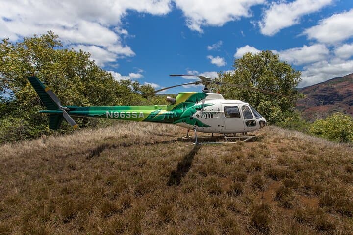 Helicopter Landing at Olokele Canyon: Kauai Air Tour with Canyon Stop photo 4