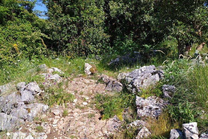 Trekking Monte Cammarata: Pizzo della Rondine Day Hike with Sicilian Lunch photo 4