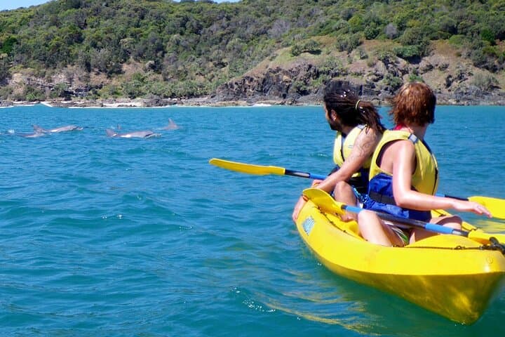 Rainbow Beach Dolphin & Wildlife Kayak Tour with 4WD to Double Island Point photo 4