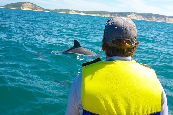 Rainbow Beach Dolphin & Wildlife Kayak Tour with 4WD to Double Island Point