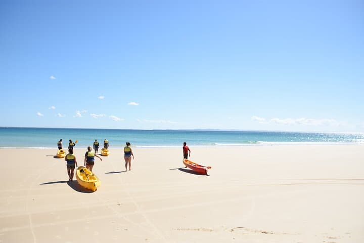 Rainbow Beach Dolphin & Wildlife Kayak Tour with 4WD to Double Island Point photo 2