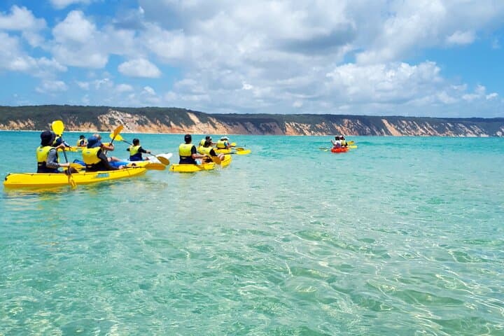 Rainbow Beach Dolphin & Wildlife Kayak Tour with 4WD to Double Island Point photo 5