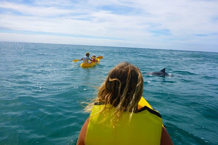 Rainbow Beach Dolphin & Wildlife Kayak Tour with 4WD to Double Island Point photo 6