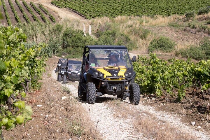 Five Senses Off-Road: Segesta Buggy Adventure Through Sicily’s Wild Countryside photo 6