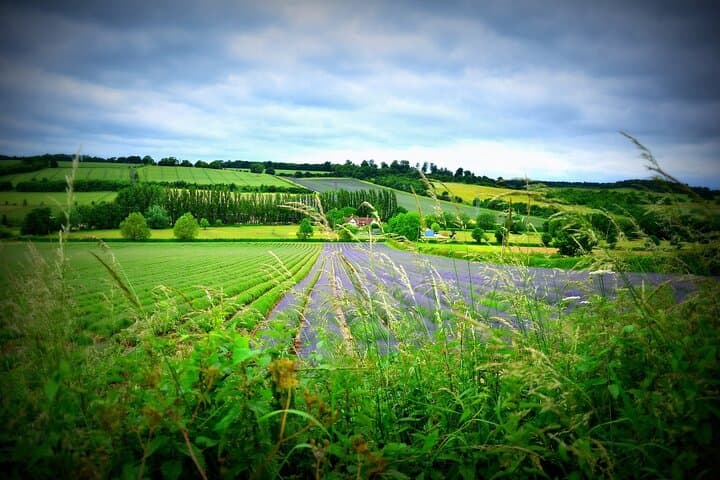 Day Trip from Brighton: Stratford-upon-Avon & Cotswolds Coach Tour photo 3