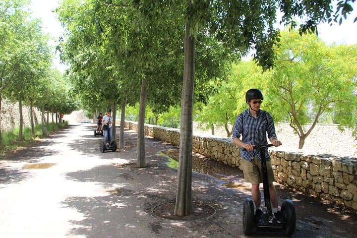 60-Minute Private Segway Ride Through Turia Park — Valencia Highlights photo 5