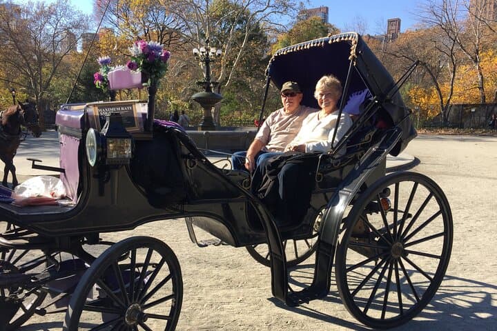 Central Park VIP Horse and Carriage Ride — 45-Min Scenic Tour of Manhattan's Green Heart photo 3