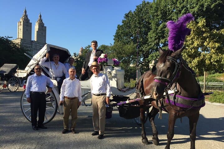 Central Park VIP Horse and Carriage Ride — 45-Min Scenic Tour of Manhattan's Green Heart photo 4