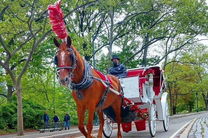 Central Park VIP Horse and Carriage Ride — 45-Min Scenic Tour of Manhattan's Green Heart photo 1