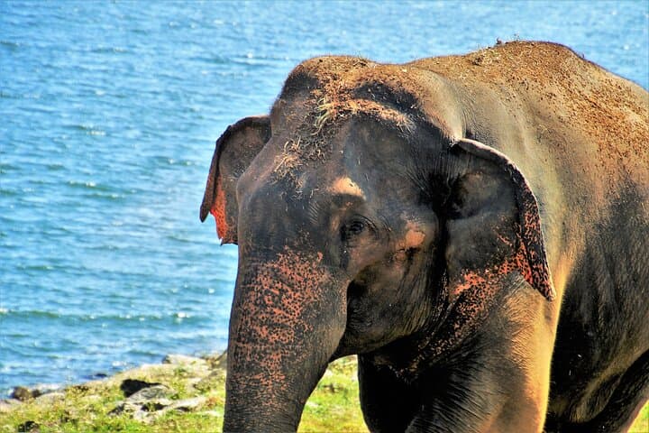 Private 7-Day Sri Lanka Car Hire with Driver-Guide — Door-to-Door Touring from Colombo photo 6