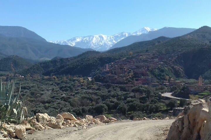 Ourika Waterfalls & Atlas Mountains Private Day Trip from Marrakech photo 5