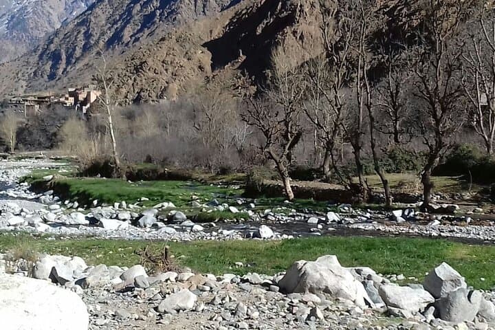Ourika Waterfalls & Atlas Mountains Private Day Trip from Marrakech photo 6