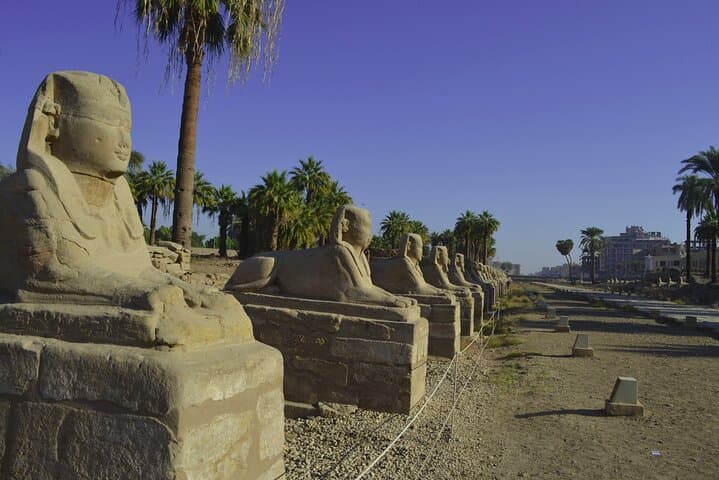 Sleeper Train to Luxor: Full-Day Tour to Karnak, Valley of the Kings & Luxor Temple photo 3