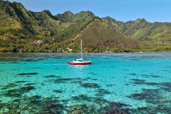 Private Moorea Catamaran: Half-Day Snorkel with Sharks, Rays & Coral Gardens photo 2