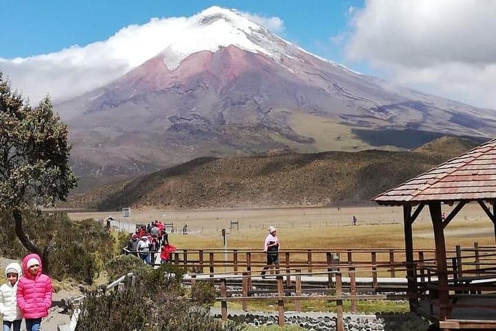Quito to Cotopaxi Volcano and Rose Plantation: Private Day Tour photo 1