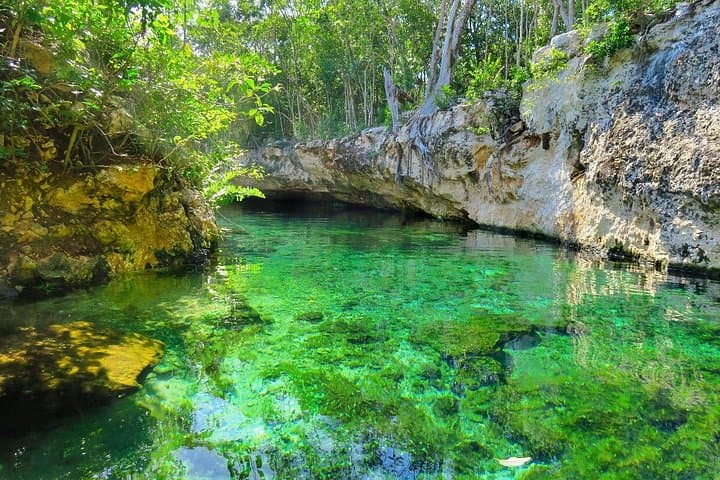 Tulum Cenotes & Mayan Ruins Day Tour — Swim, Snorkel & Visit a Local Village photo 4