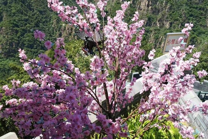 Beijing to Shilinxia Glass Platform: Private Day Trip to the Glass Bridge & Gorge photo 3