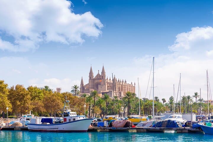 Palma de Mallorca Sightseeing: Cathedral, Bellver & Harbor Highlights photo 3