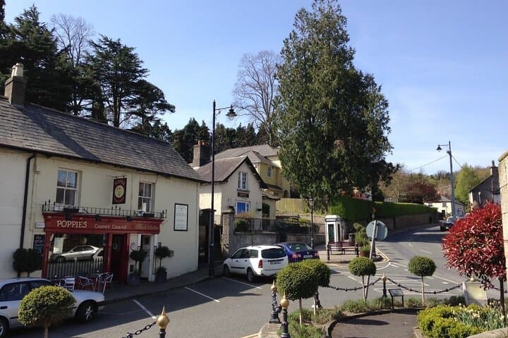 Full-Day Private Wicklow Tour: Powerscourt, Sally Gap & Glendalough from Dublin photo 5