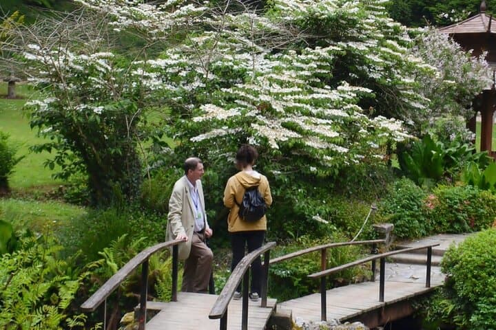 Full-Day Private Wicklow Tour: Powerscourt, Sally Gap & Glendalough from Dublin photo 6
