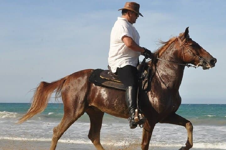 Horseback Ride to El Limón Beach — Punta Cana Guided Beach Tour photo 6