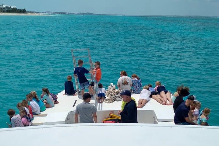 Providenciales Reef, Beach & Sandbar Tour — Snorkel, Iguanas & Sand Dollar Cove photo 4