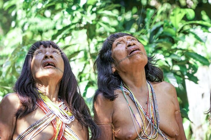 15-Day Matses Expedition: Remote Amazon Jungle Trek and Indigenous Cultural Immersion photo 4