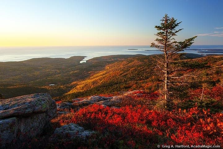 Acadia Grand Tour: Cadillac Mountain, Thunder Hole & Sand Beach photo 2